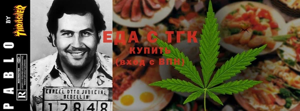 МДПВ Бородино