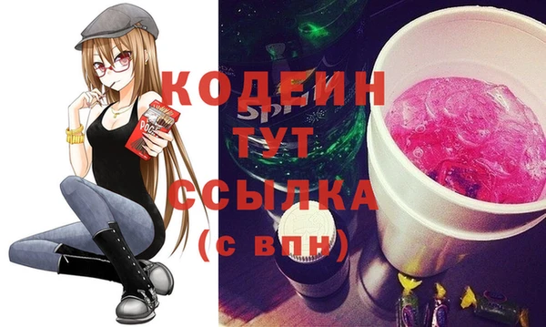МДПВ Бородино