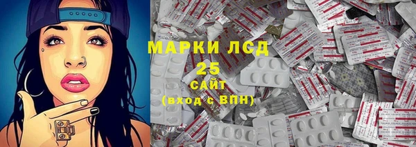 МДПВ Бородино