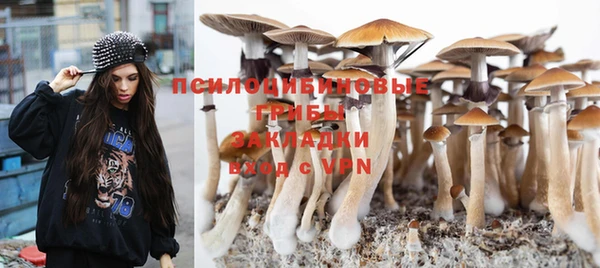 МДПВ Бородино
