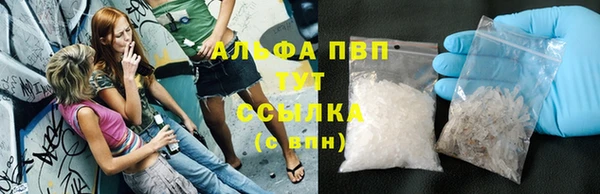 ГАЛЛЮЦИНОГЕННЫЕ ГРИБЫ Богданович