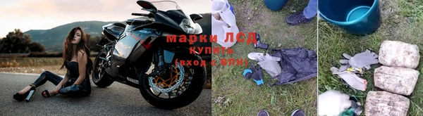 МДПВ Бородино