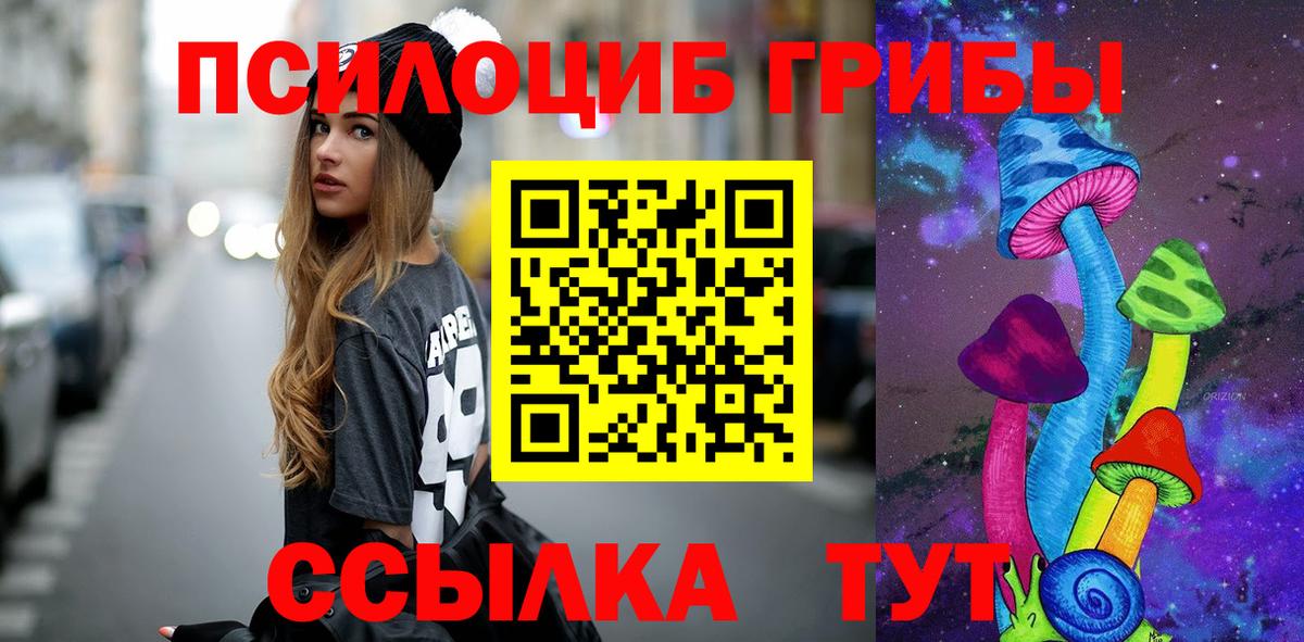 Галлюциногенные грибы прущие грибы  Всеволожск 