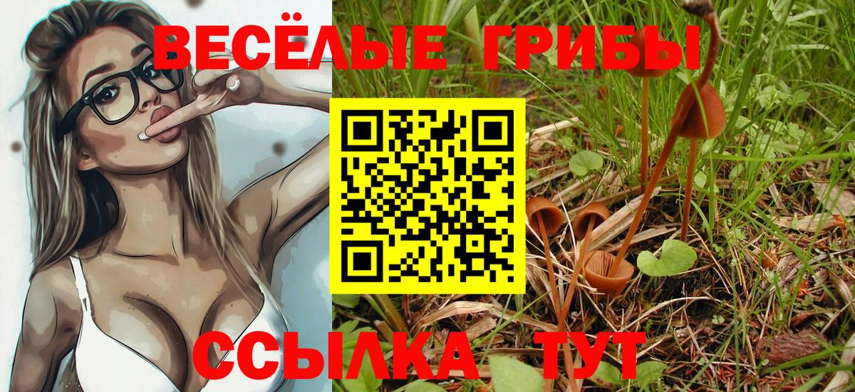 Всеволожск  Галлюциногенные грибы Psilocybe  Вход с VPN 